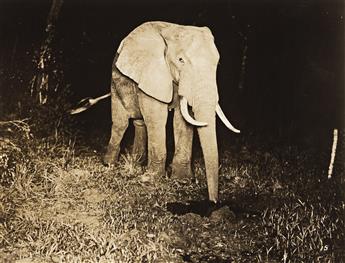 (AFRICA) A group of 16 press photographs related to the American experience of 1930s-40s Africa, including 12 apparently by the noted h